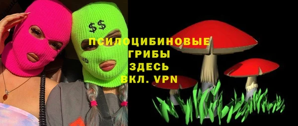прущие крисы Алексин